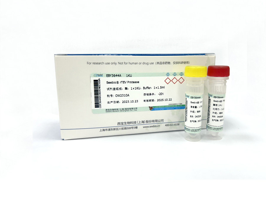 Seebio? 重組煙草蝕紋病毒蛋白酶(TEV酶) Seebio? 重組煙草蝕紋病毒蛋白酶(TEV酶)