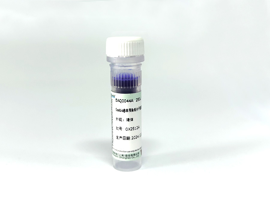 Seebio?非預染低分子量蛋白質分子量標準，3.1~41?kDa