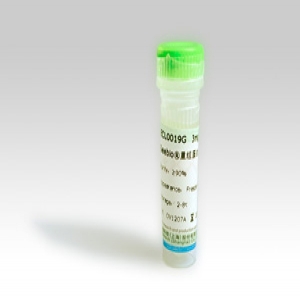 Seebio? 重組蛋白A（rProtein A，ZZZ-HS型）