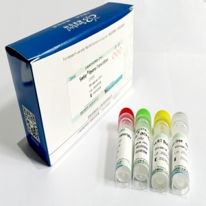 Seebio? Enhan sTaq DNA Polymerase（含dNTP）