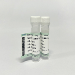 Seebio? 熒光素酶（Luciferase）